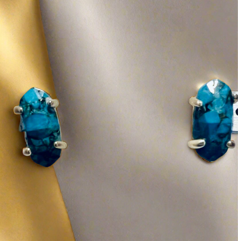 Kendra Scott Stud Earrings in Gold Plated and African Turquoise